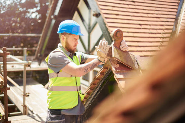 Best Flat Roof Repair Services  in Embreeville, TN